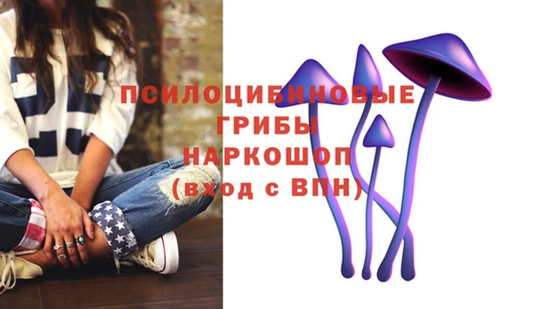 ECSTASY Абинск